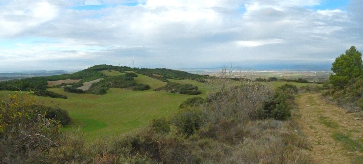 Artaxoako muga, Valdeferrerko bidetik