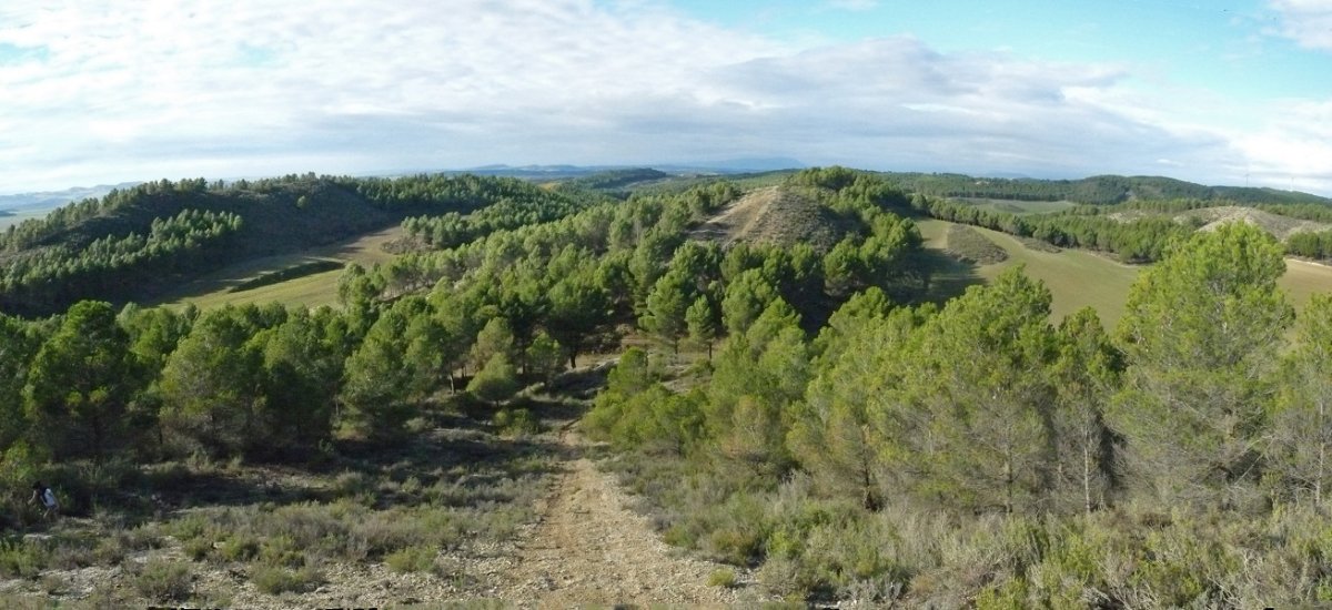 Romerales, gainaldea