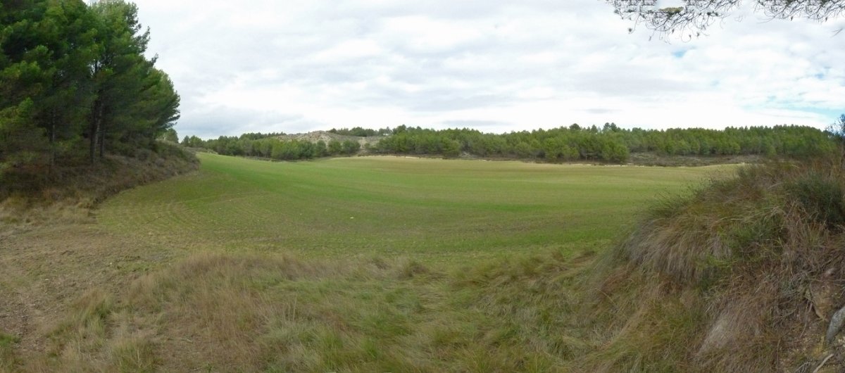 Soroak mendebaldeko lepotik hurbil