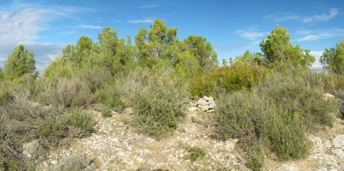 Romeralesko gailurra