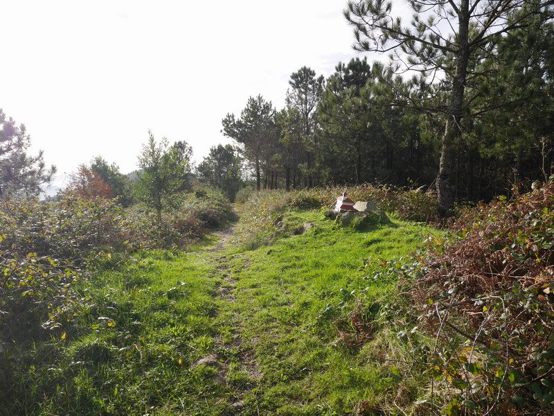 Jata Txikiko tontorra