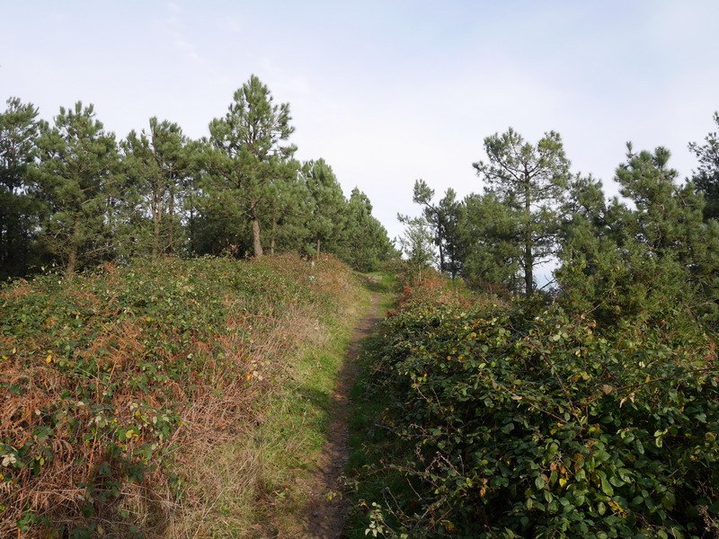 Jata Txikiko tontorra