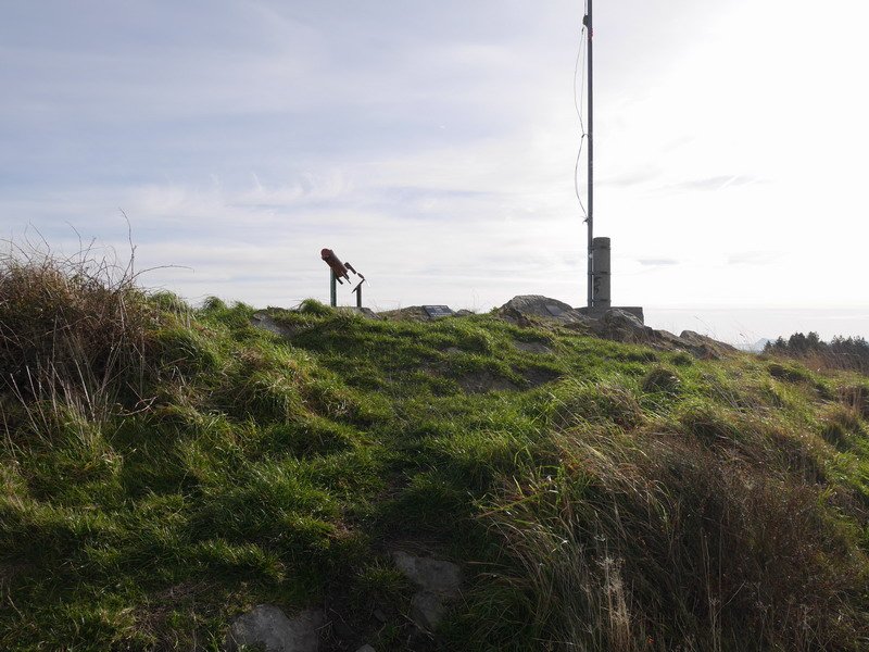 Jata Nagusiko tontorra