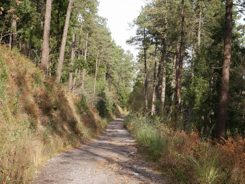 Jaitsierako bide zabala