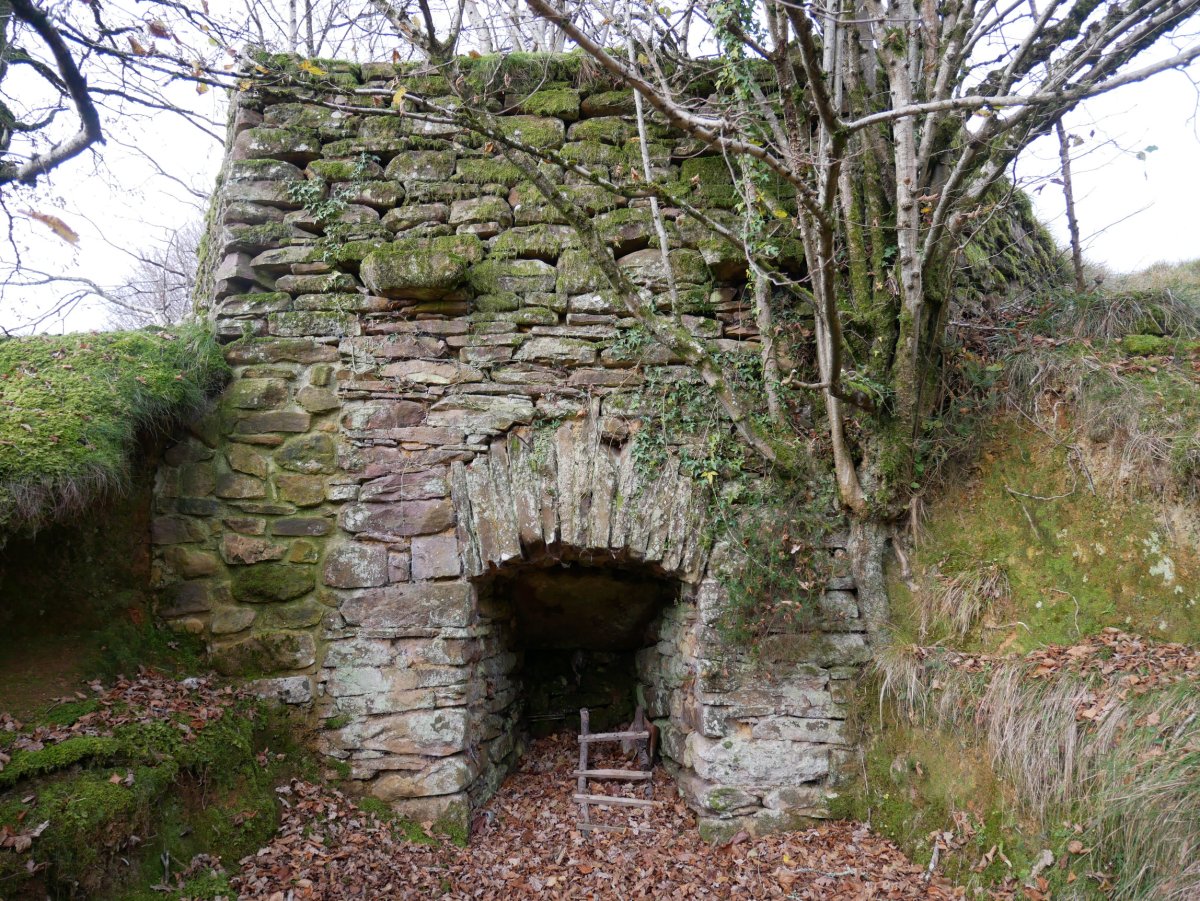 Irantzuko karobia, Berastegi