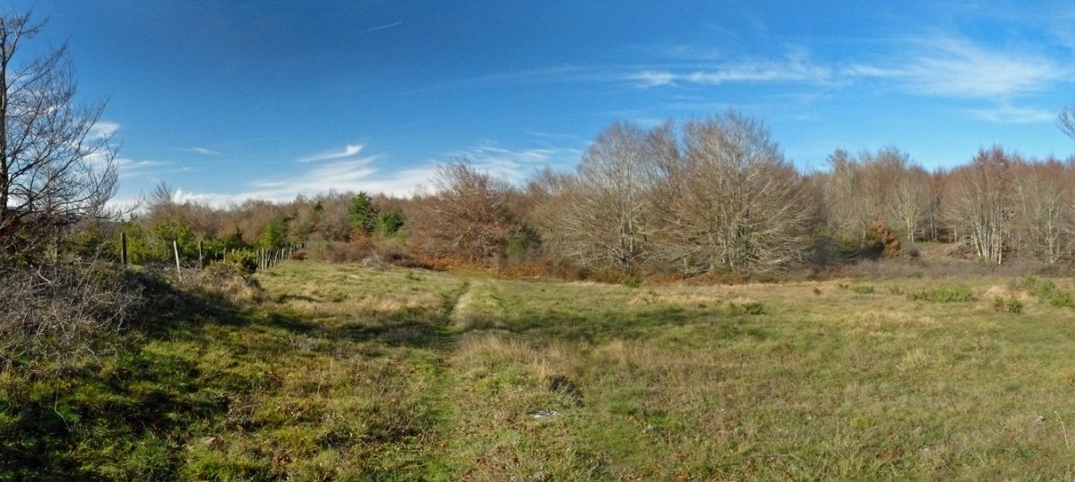 Gonea/San Pablo mendatea