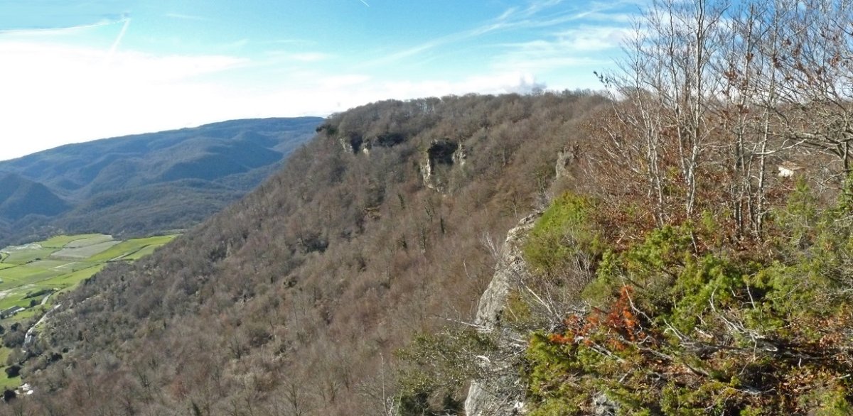 Aitzandiko mallkarrak ekialdetik