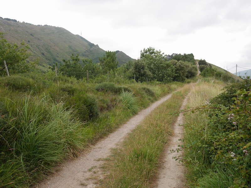 Aldapatik igotzen den bidea