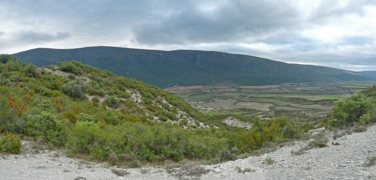 Leire mendilerroa bidetik