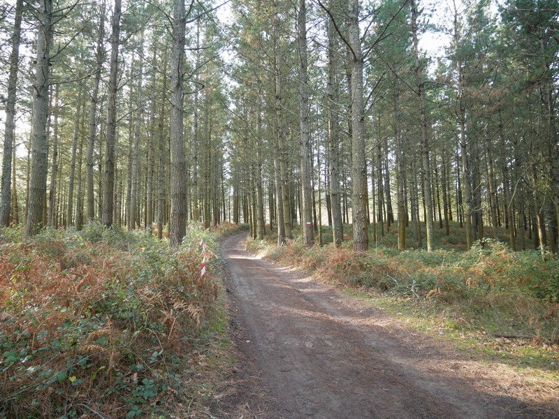 Ibilbidearen hasieran