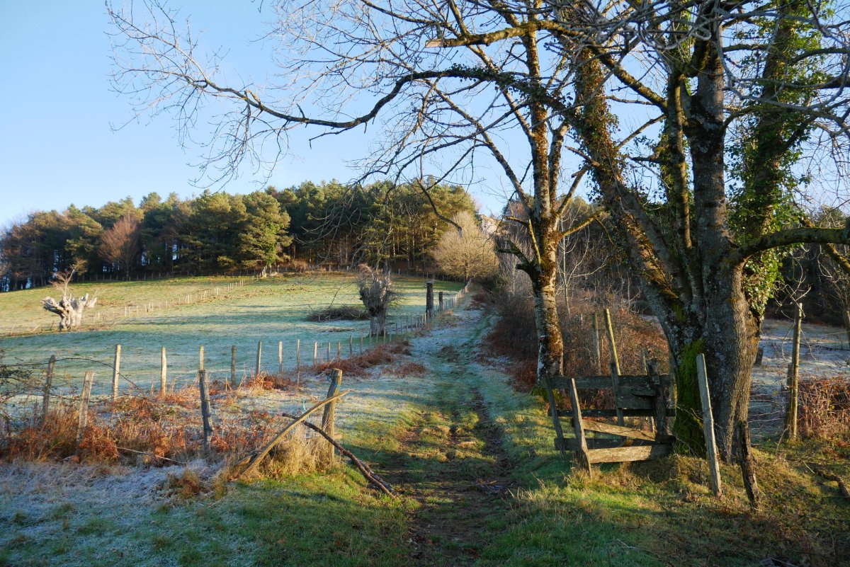 Otzaurtetik abiatzen den bidea