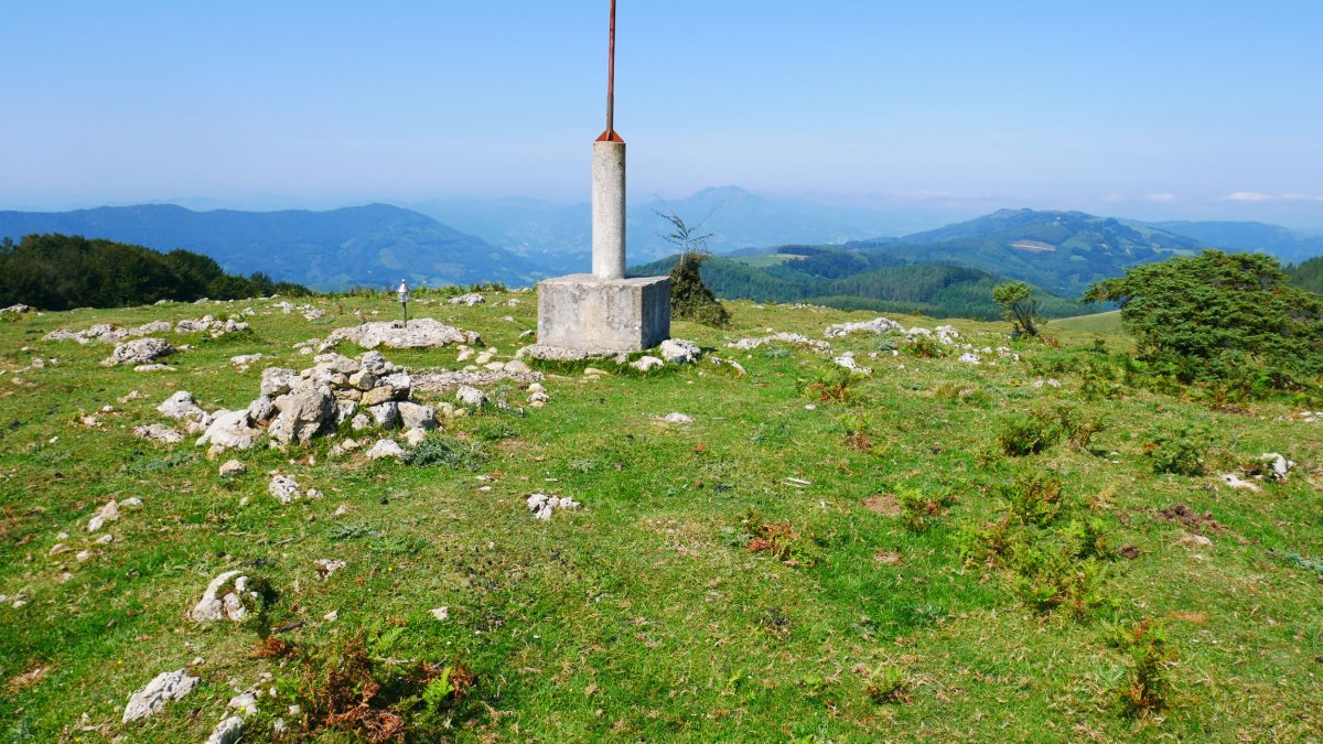 Txartelontzia, Ulizar