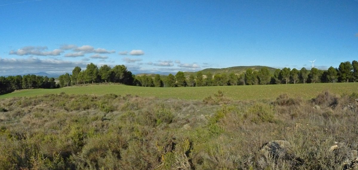 Kandaraitz ipar gailurra