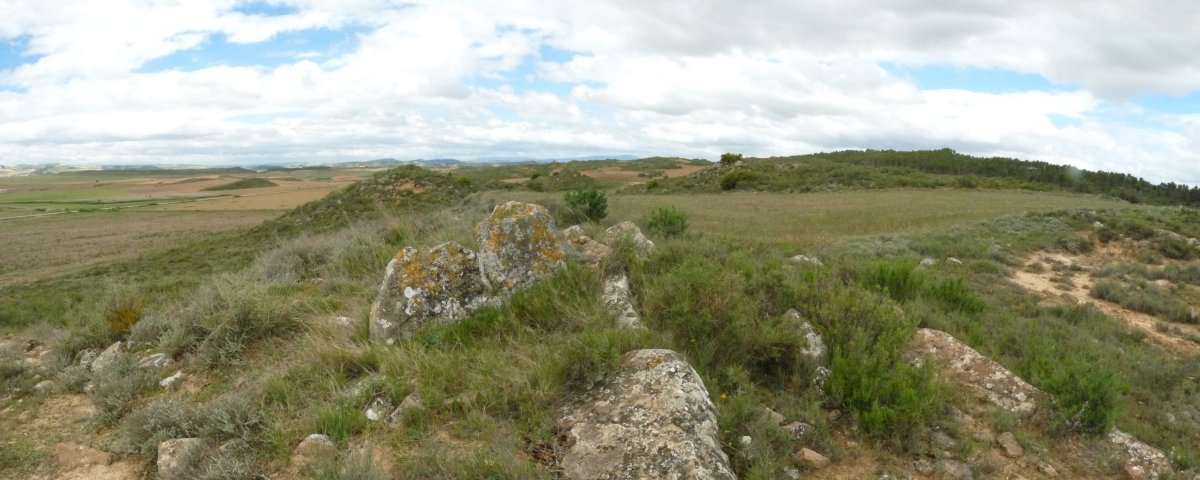 Kandaraitz trikuharria