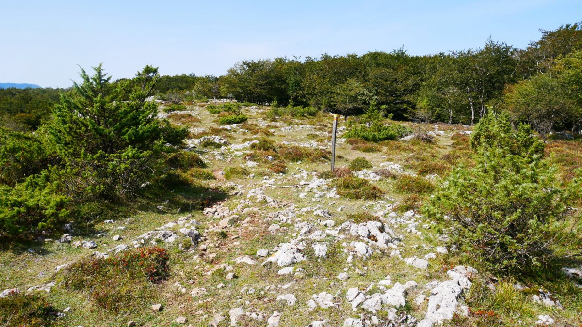 Larrazpil trikuharriaren inguruak