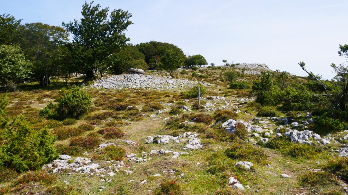 Larrazpil trikuharriaren inguruak
