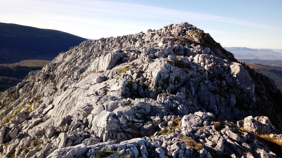 Axkorrigain (1095) tontorra