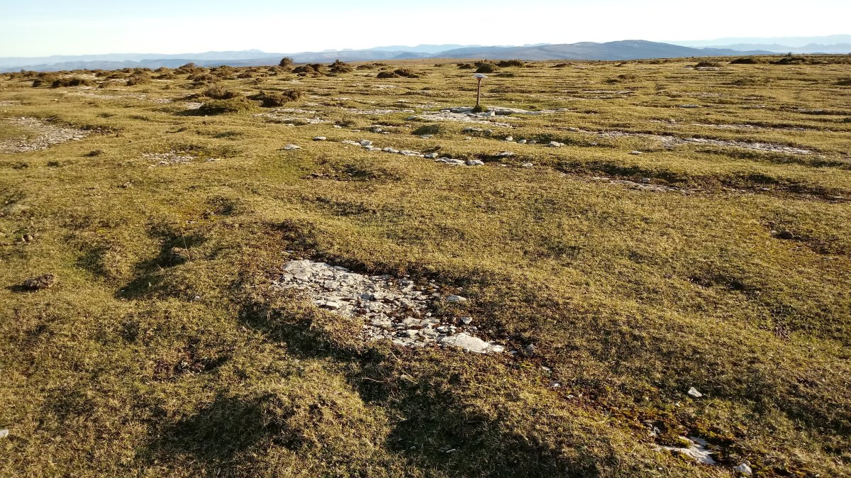 Somomendi (1170m) gainaldea