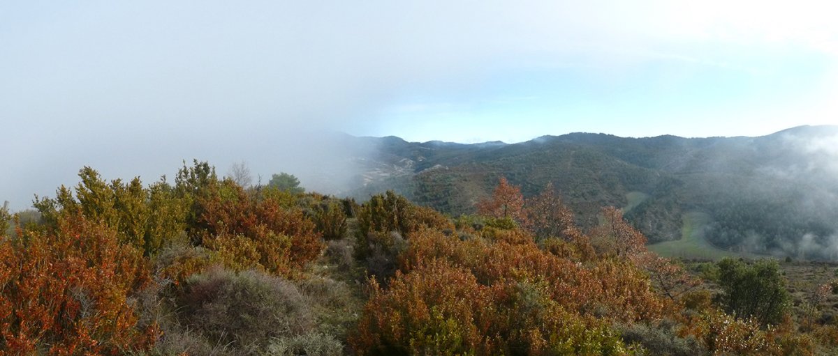 Lanbroak hartutako paisaia