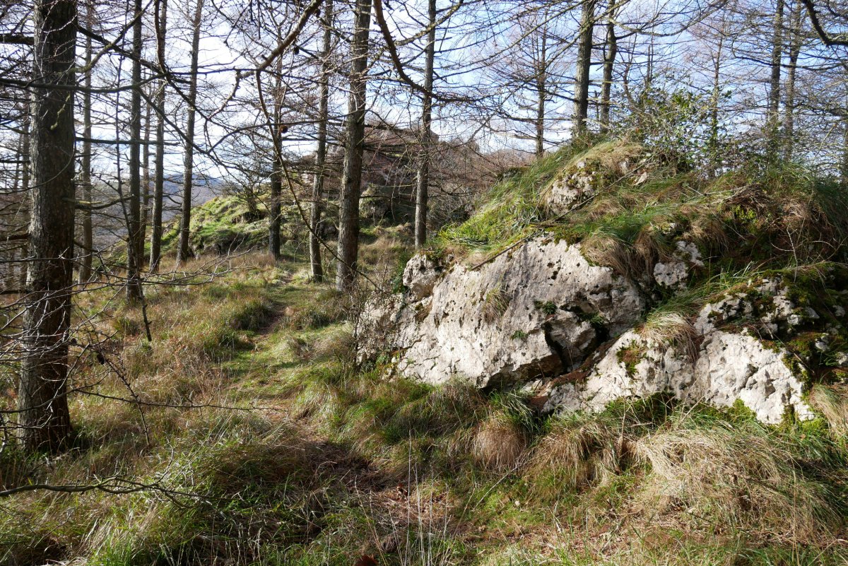 Azken metroak IEko lepotik