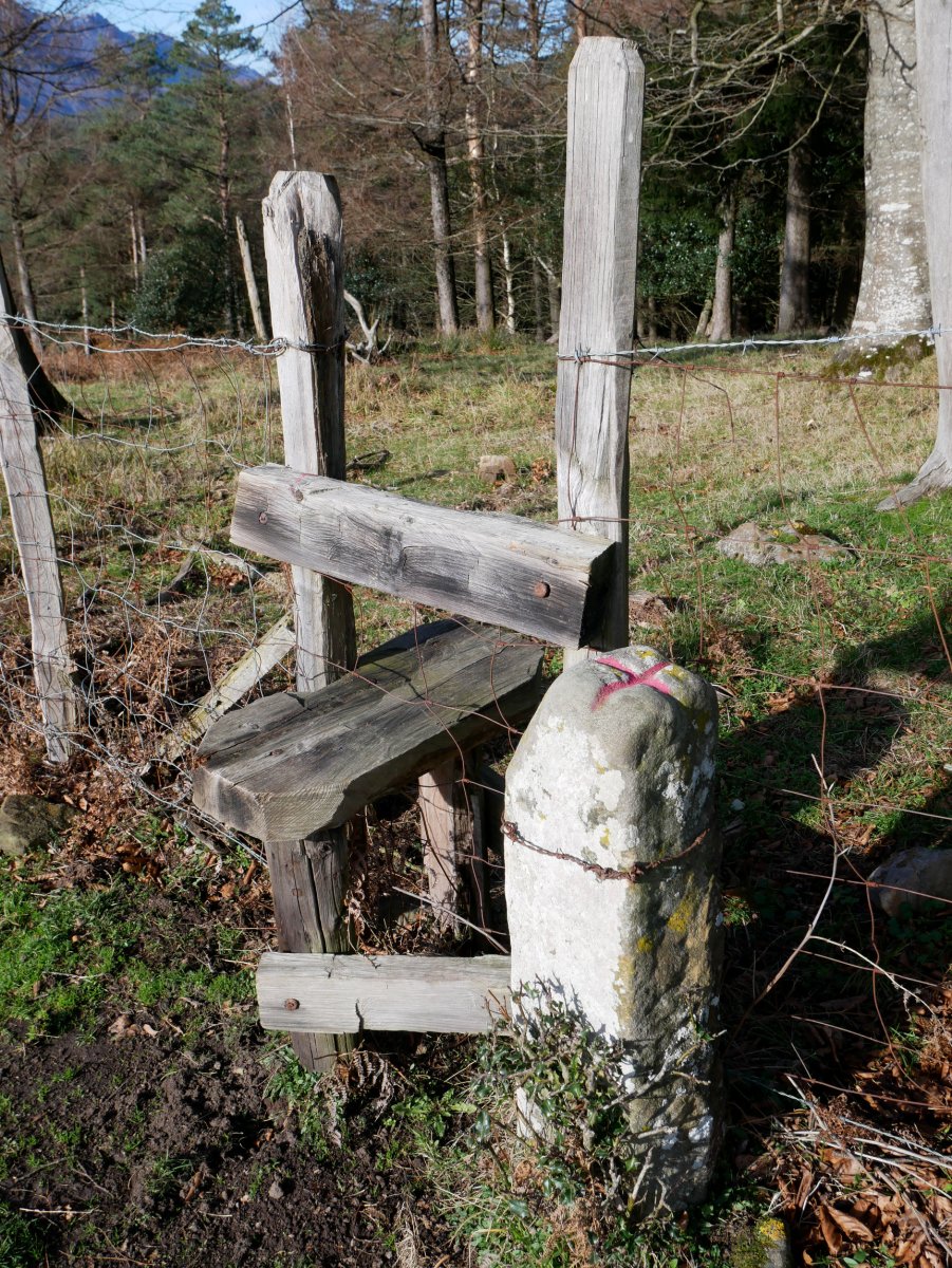 Mugarria (Idiazabal eta partzuergoa) eta harpausoa