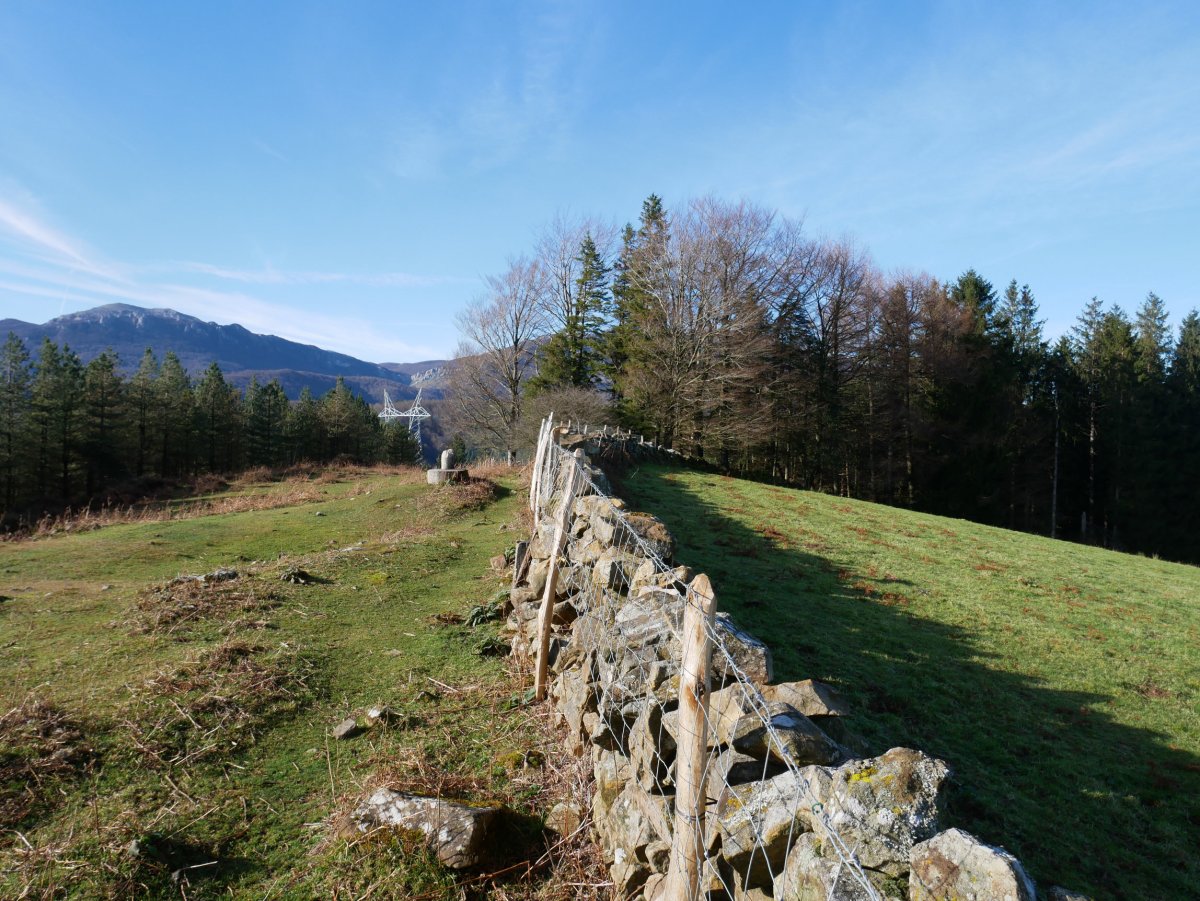 Erpin geodesikoa duen tontorra