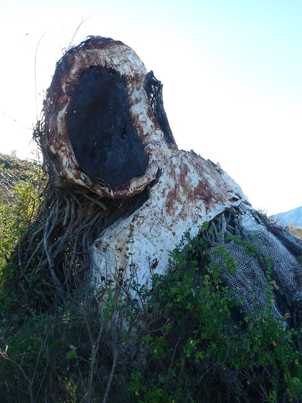 Burezurra Desvelados parkean