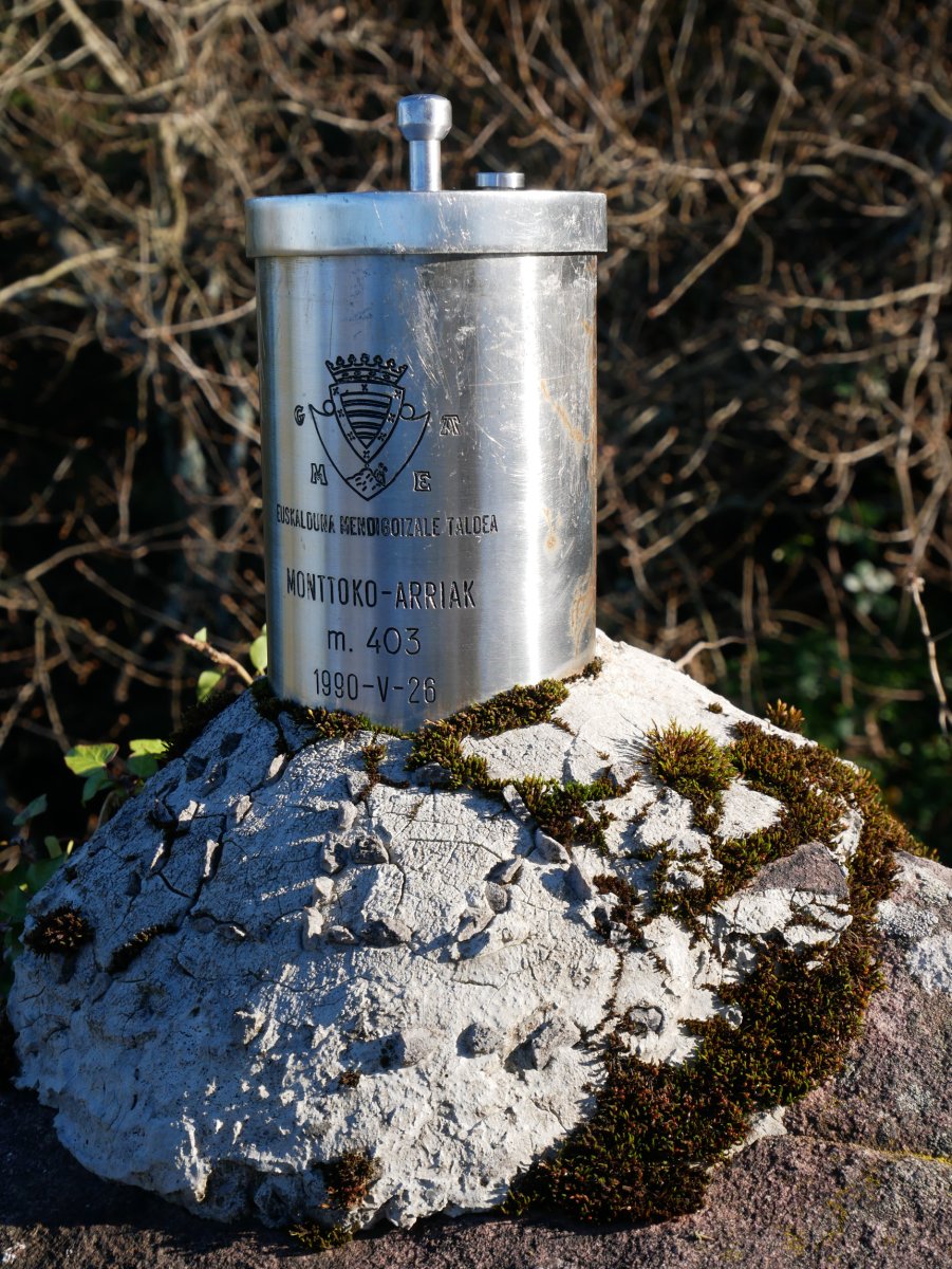 Txartelontzia, Muntto