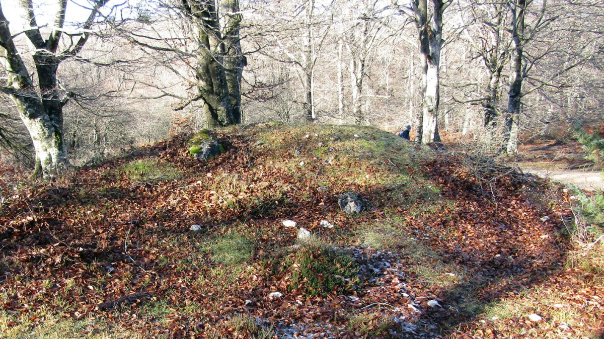 San Cristobal tumulua, Entzia