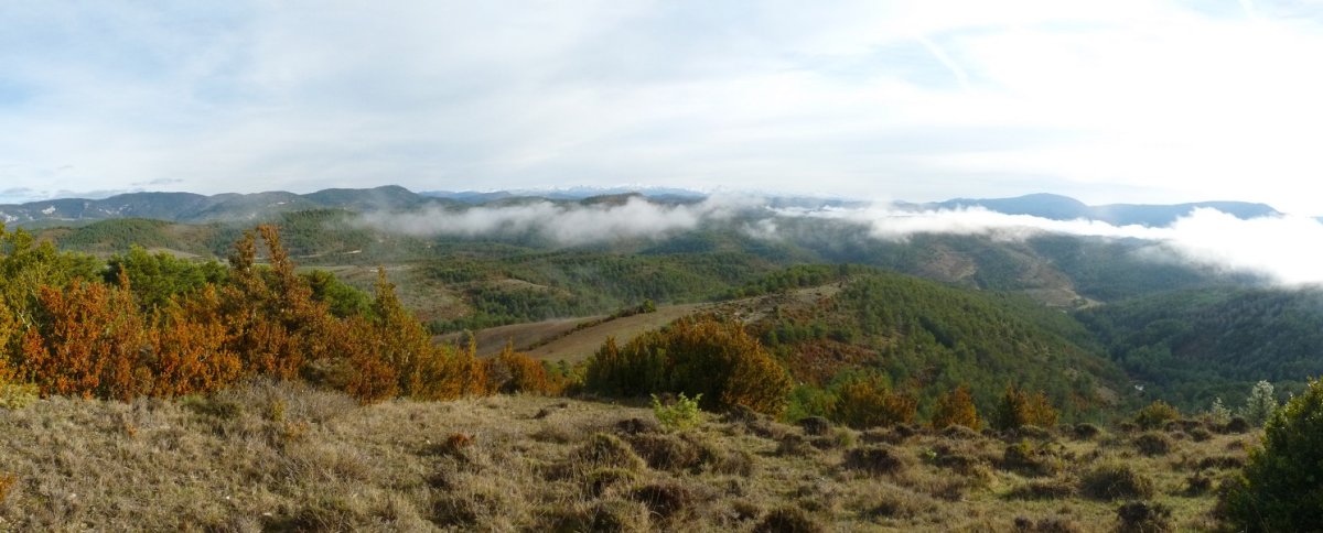 Paisaia zabalak Zelaigainetik