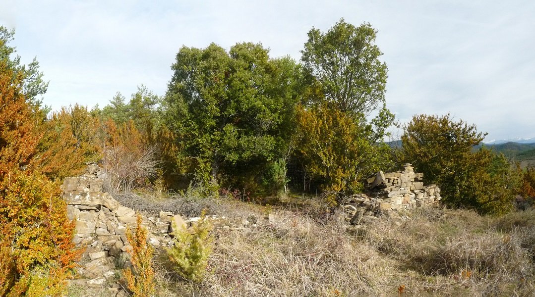 Borda baten hondakinak Egurzanoko lepoan