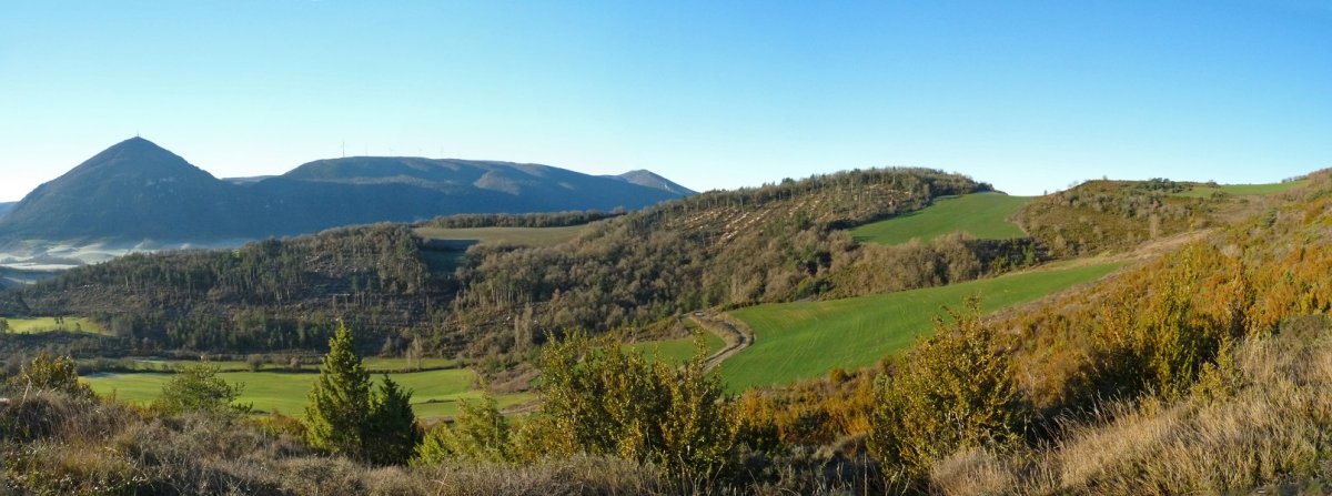 Erbiain, Zenborain aldetik