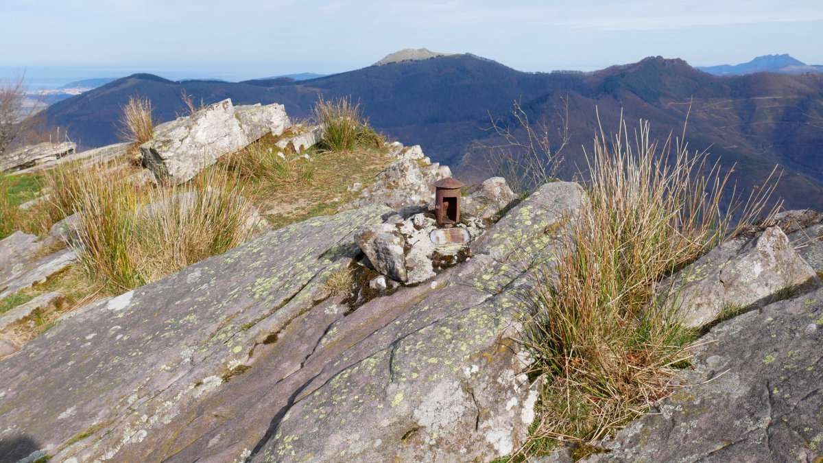 Txartelontzia, Arnabar