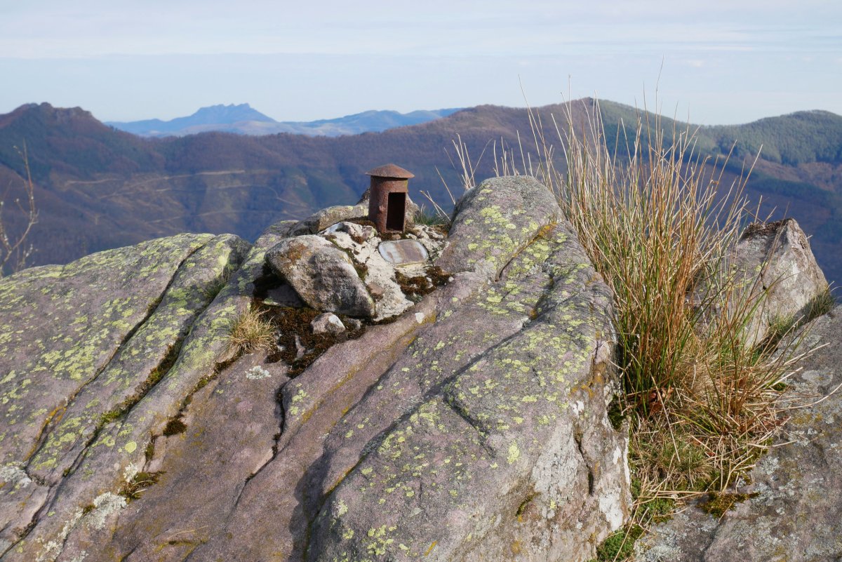 Txartelontzia, Arnabar