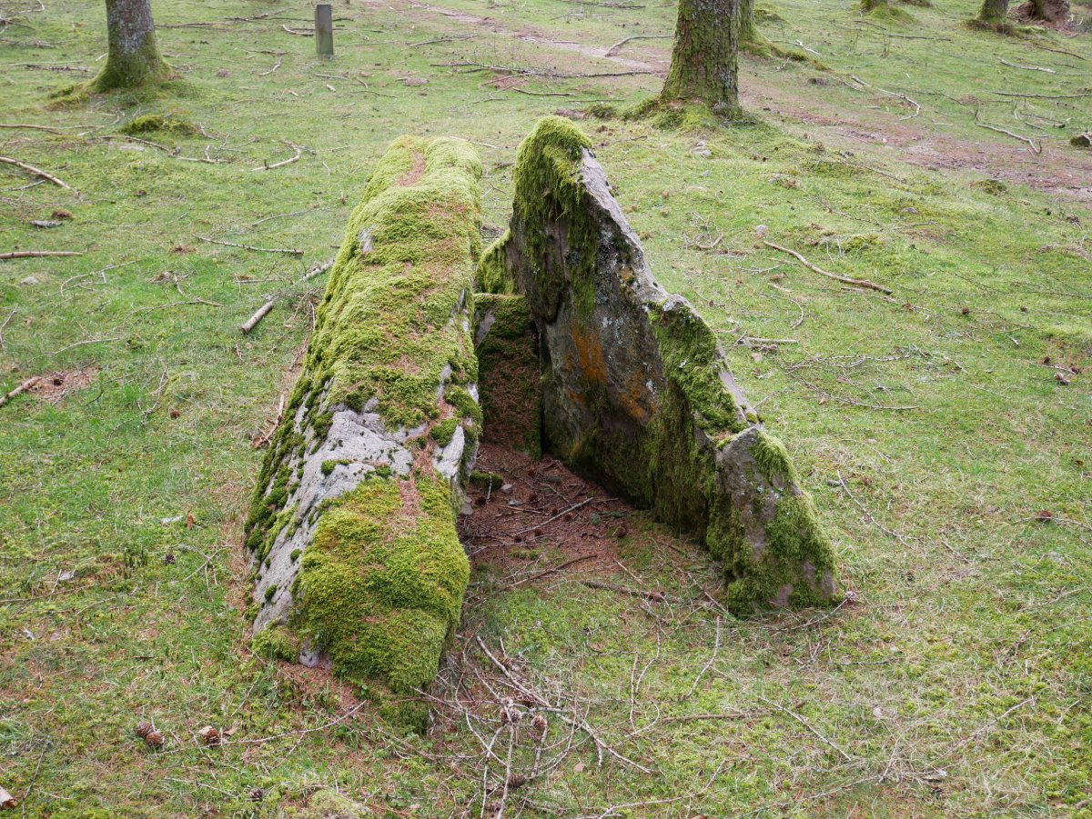 Belabieta Txiki Trikuharria