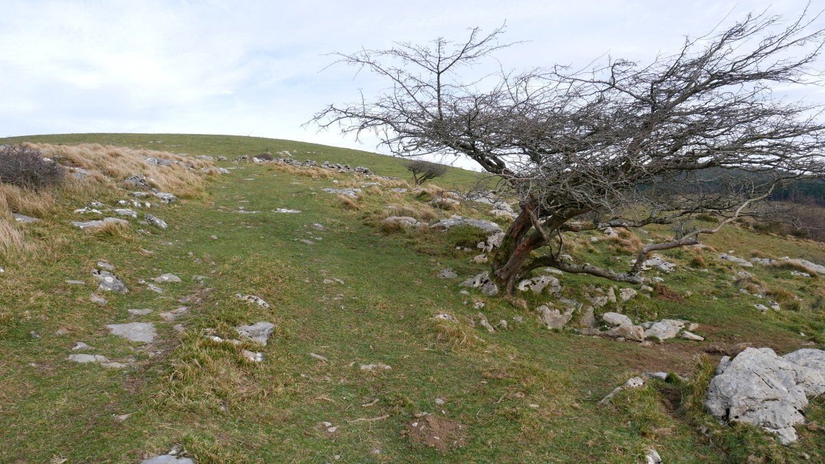 Belabietako azken metroak, Mtik