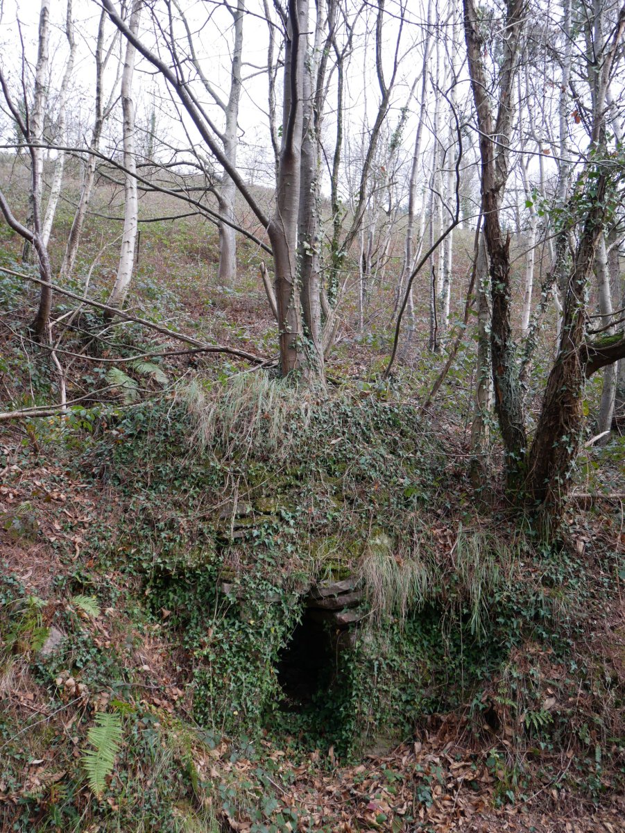Karobi txiki bat bide bazterrean