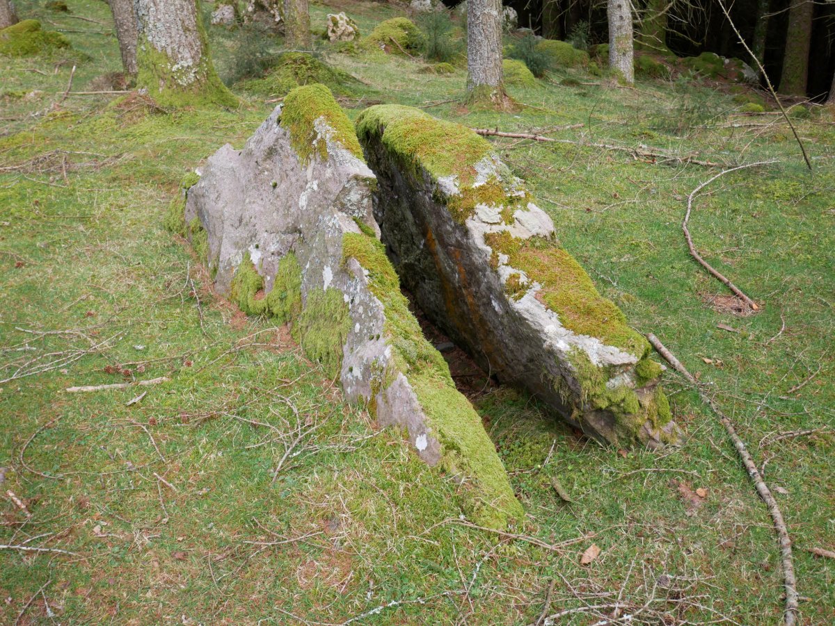 Belabieta Txiki Trikuharria