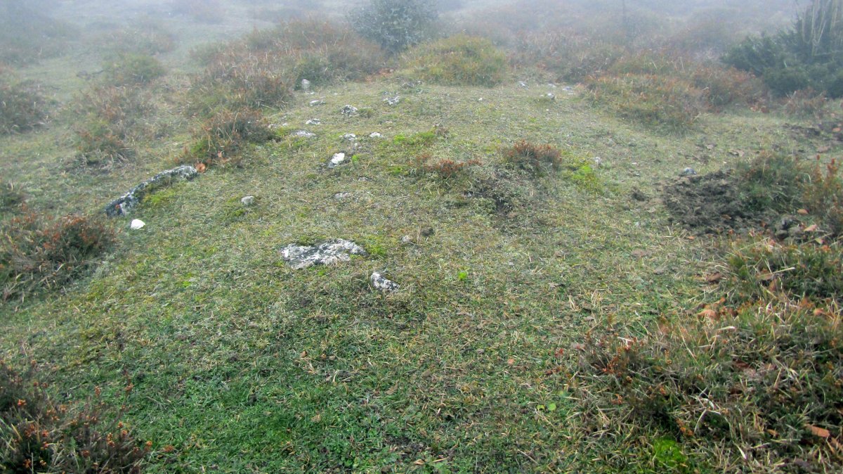 Kapitarte tumulua, Entzia