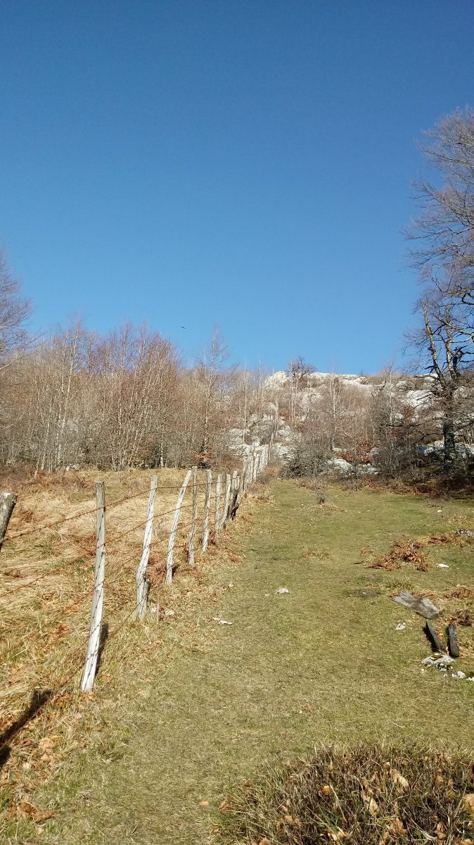 Araba eta Nafarroa arteko hesia