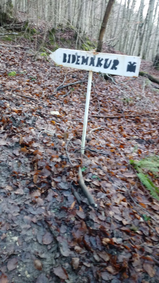 Ziordiatiko bidezidorra, Bidemakur seinalea