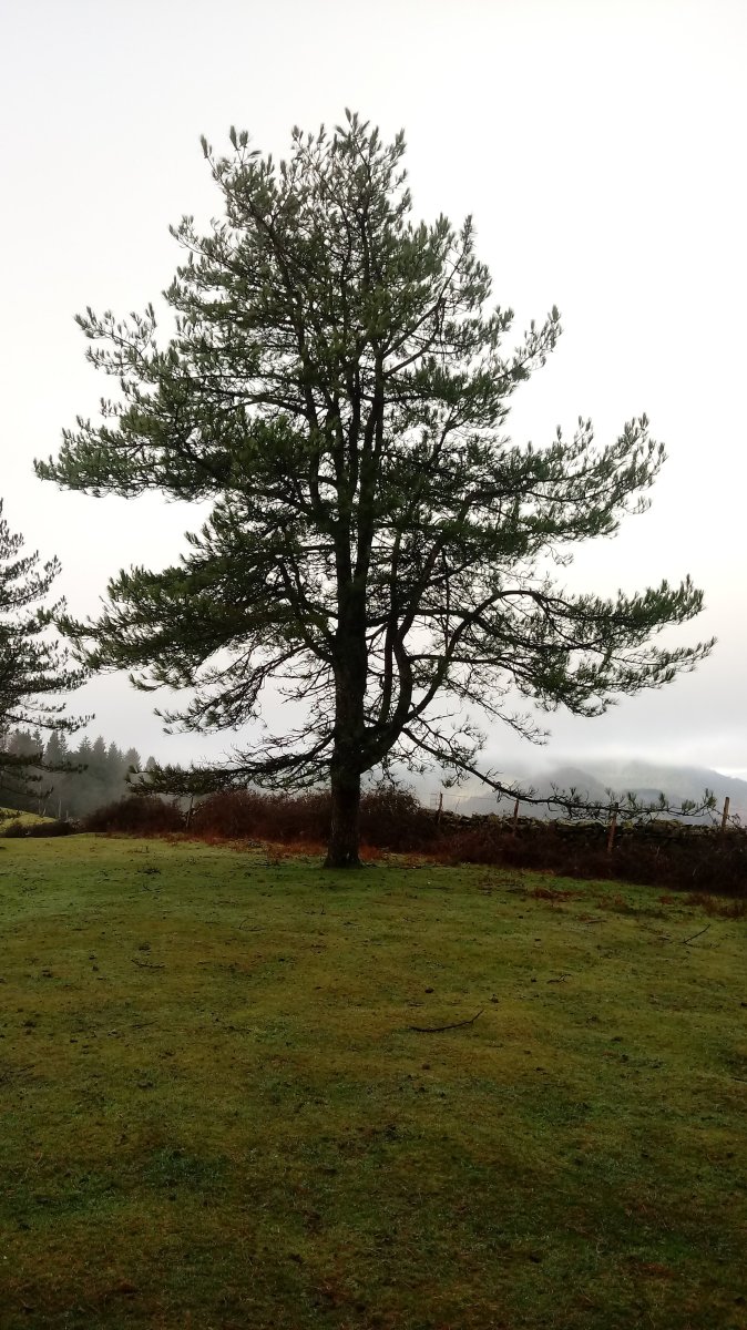 Larrazkondo (779m) gainaldea