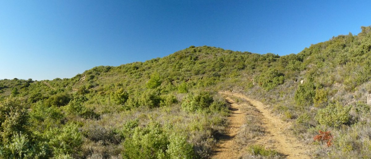 Zaramendira hurbilduz