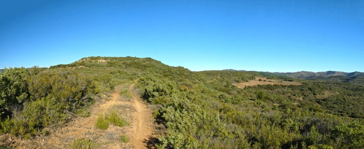 Zaramendi, mendebaldeko lepotik
