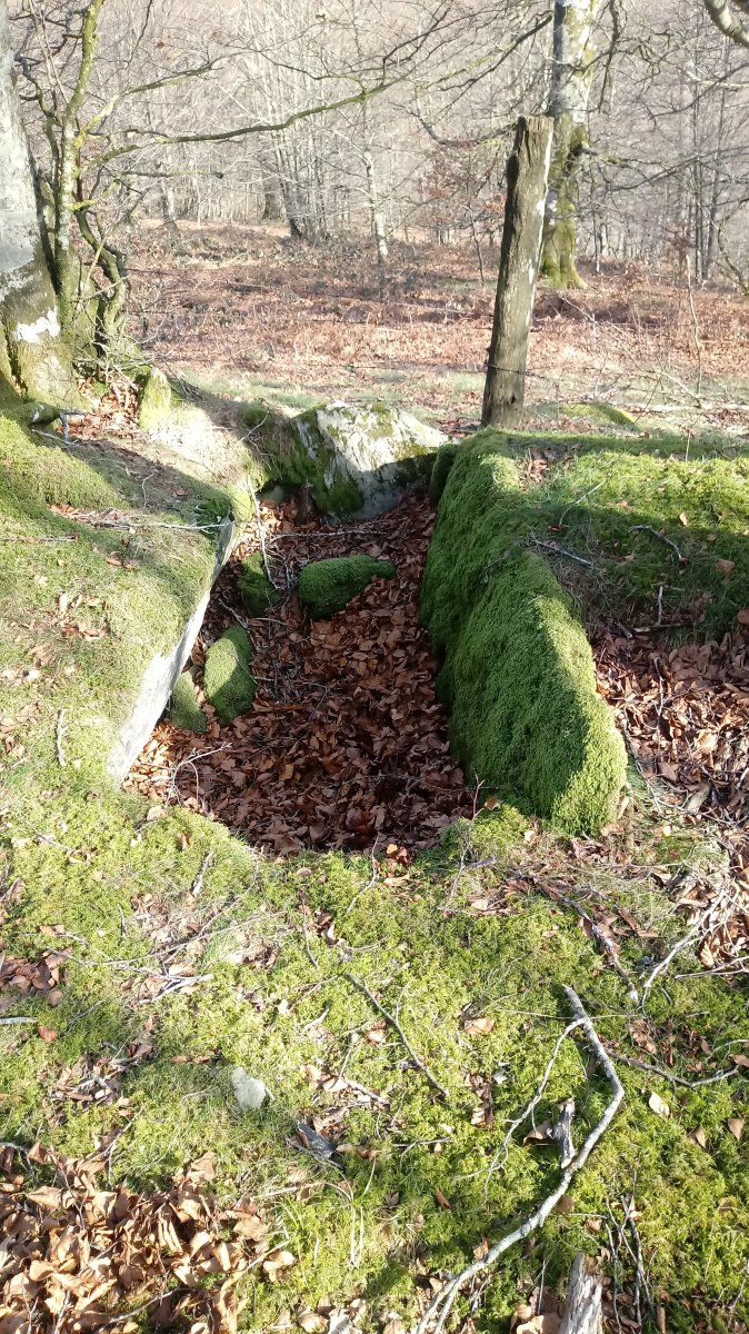 Alkardur (Otzola) trikuharria