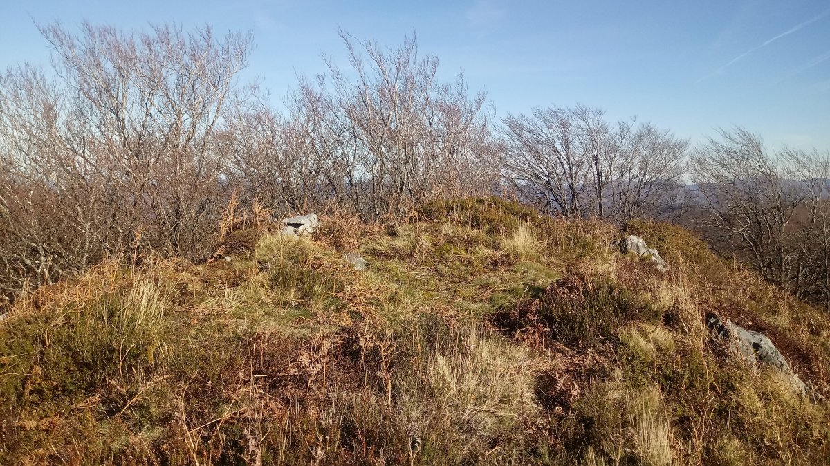 Labeaga (971m) tontorra