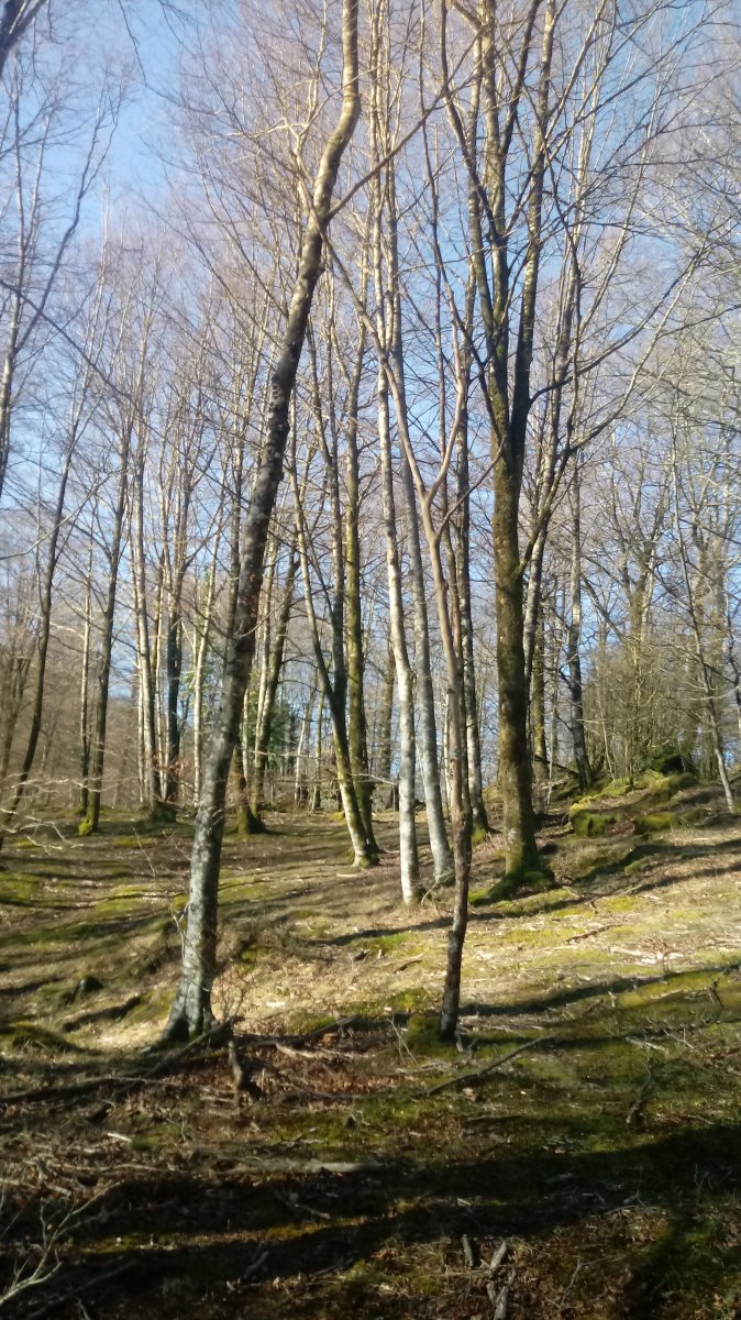 Argilbel aldeko pagadian