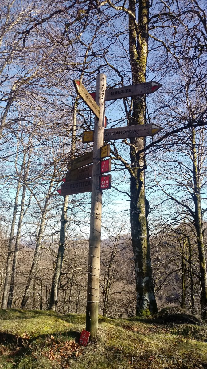 Zumardenako Lepoa, bidegurutzeko seinalea