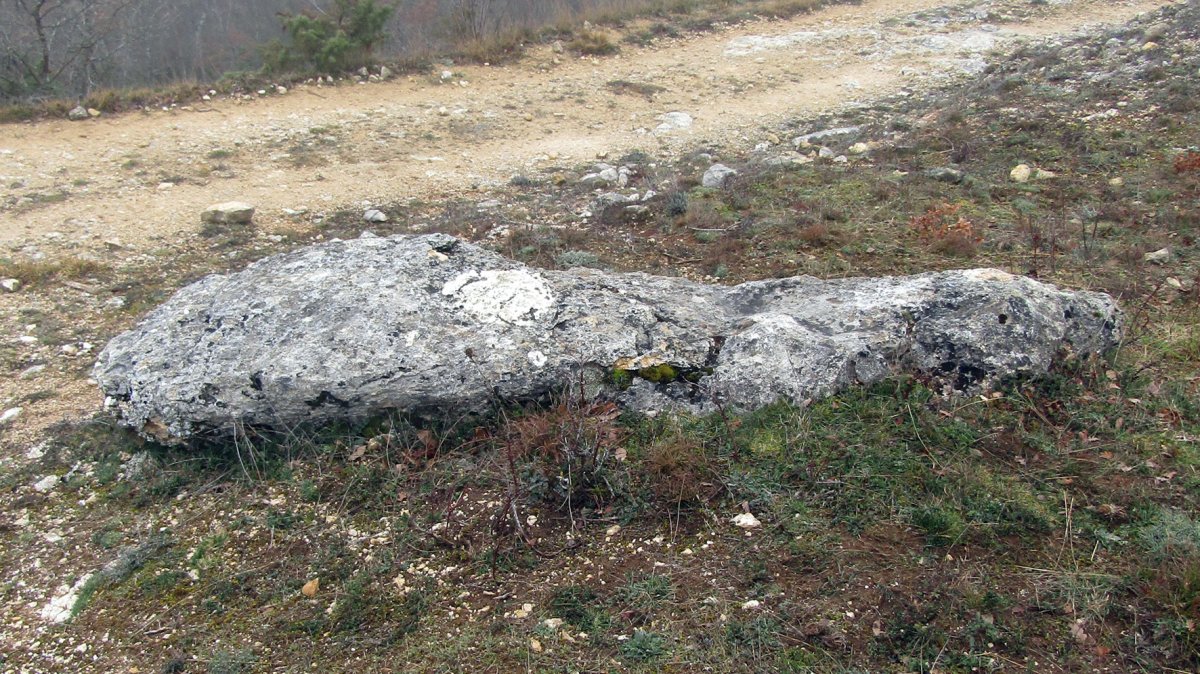 El Bardal zutarria, Arraia-Maeztu