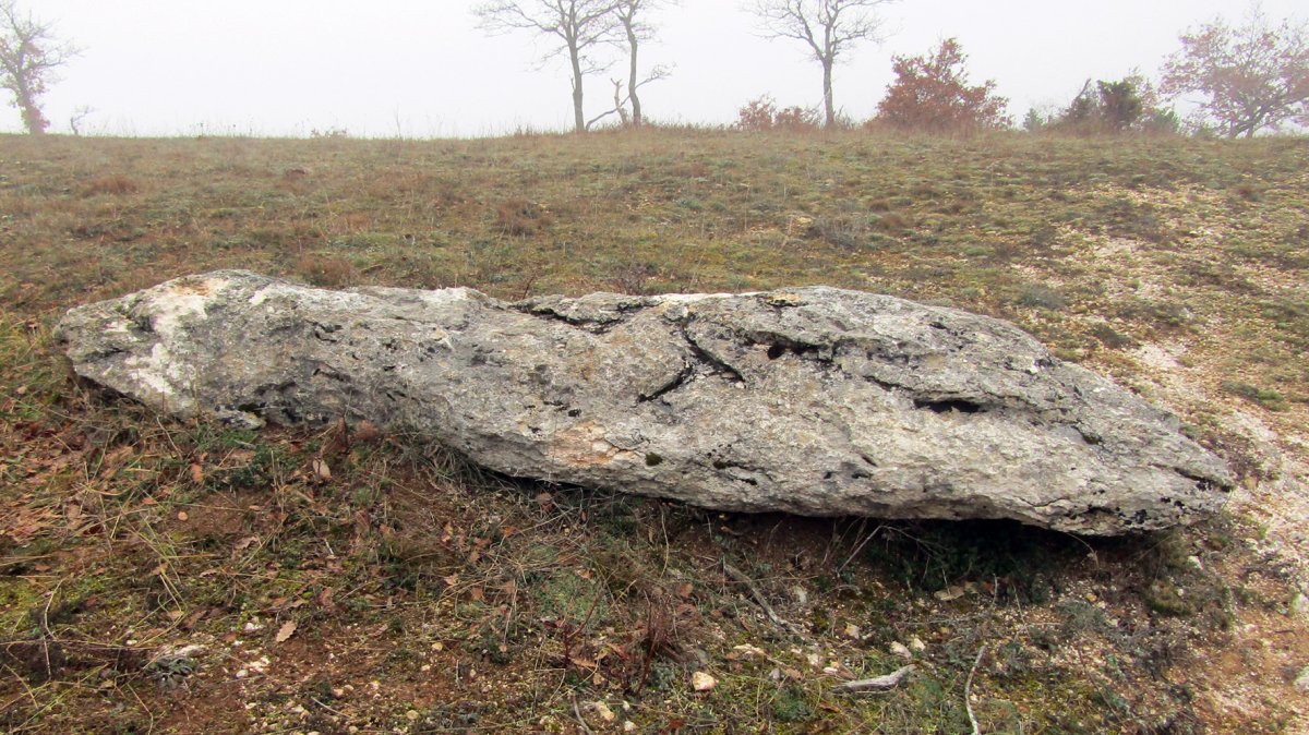 El Bardal zutarria, Arraia-Maeztu